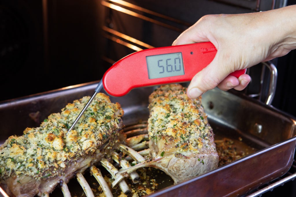 Thermapen One HACCP Thermometer
